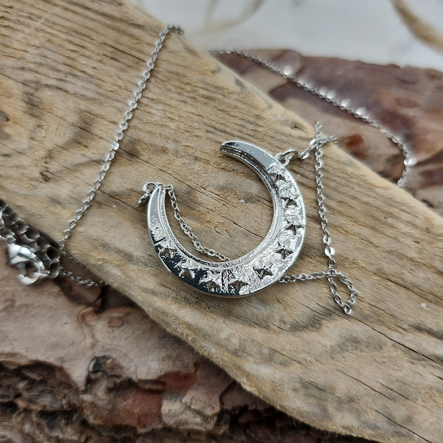 Crescent Moon Silver Necklace